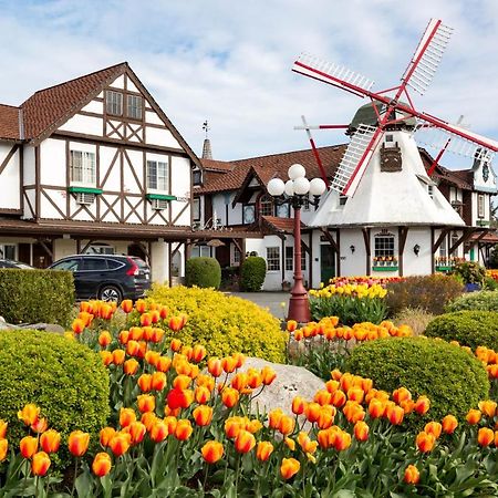 Auld Holland Inn Oak Harbor Exterior foto