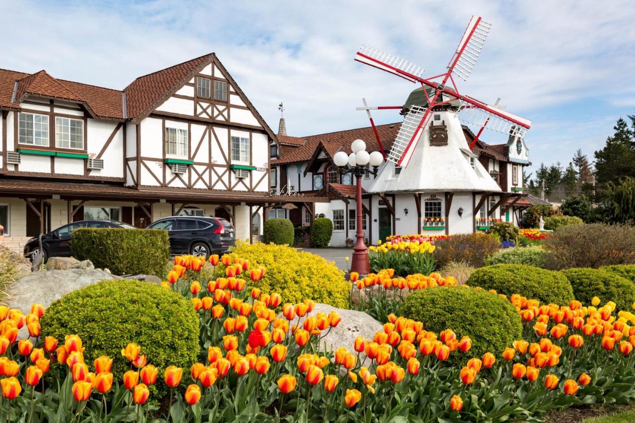 Auld Holland Inn Oak Harbor Exterior foto